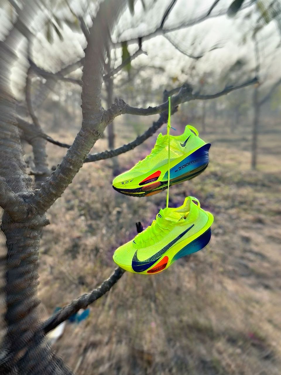 NIKE ZOM ALPHAPHY