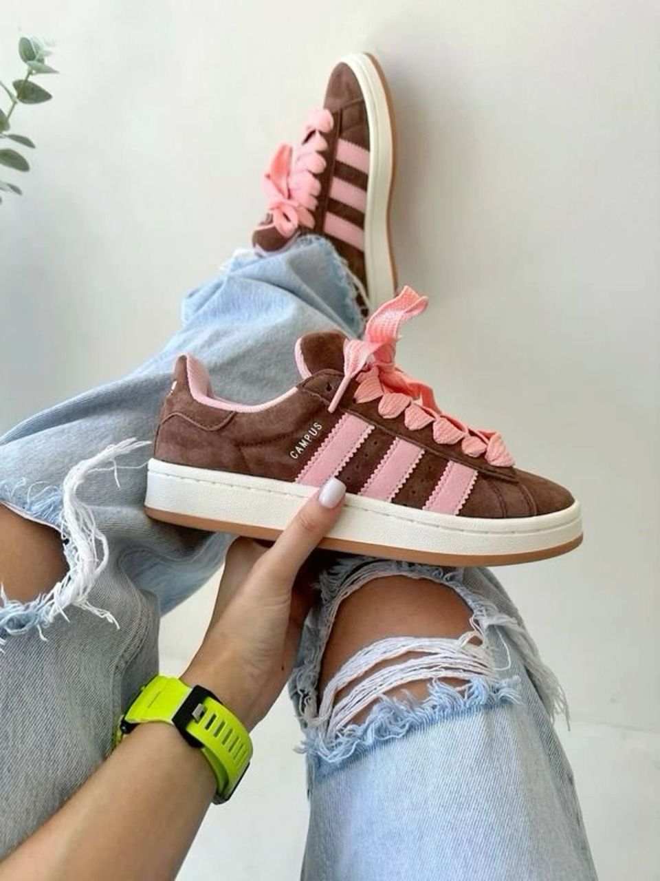 Adidas Campus